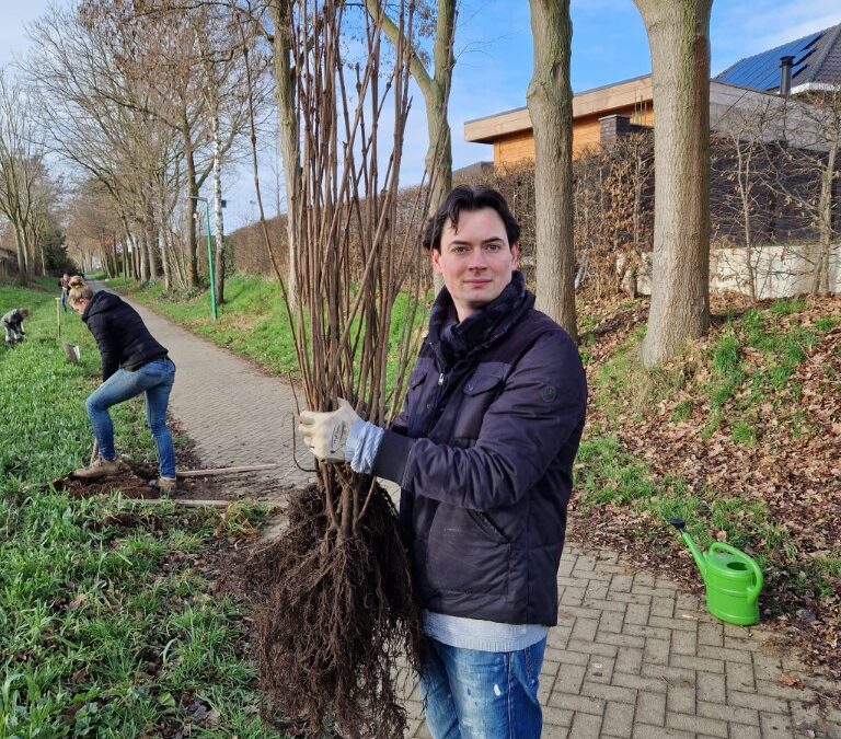 Bomen in een duurzame stad