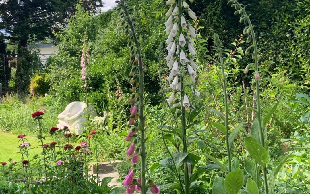 Een natuurlijke tuin met weinig onderhoud